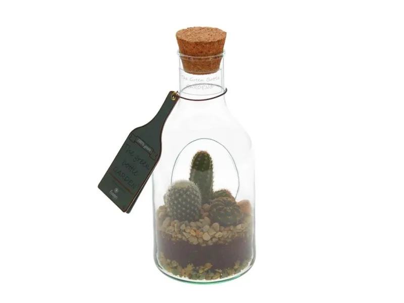 Cactus bottiglia vaso 9 cm