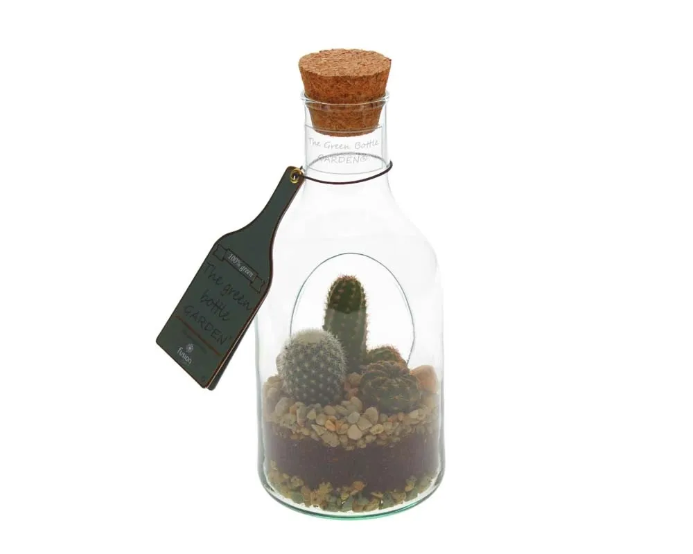 Cactus bottiglia vaso 9 cm