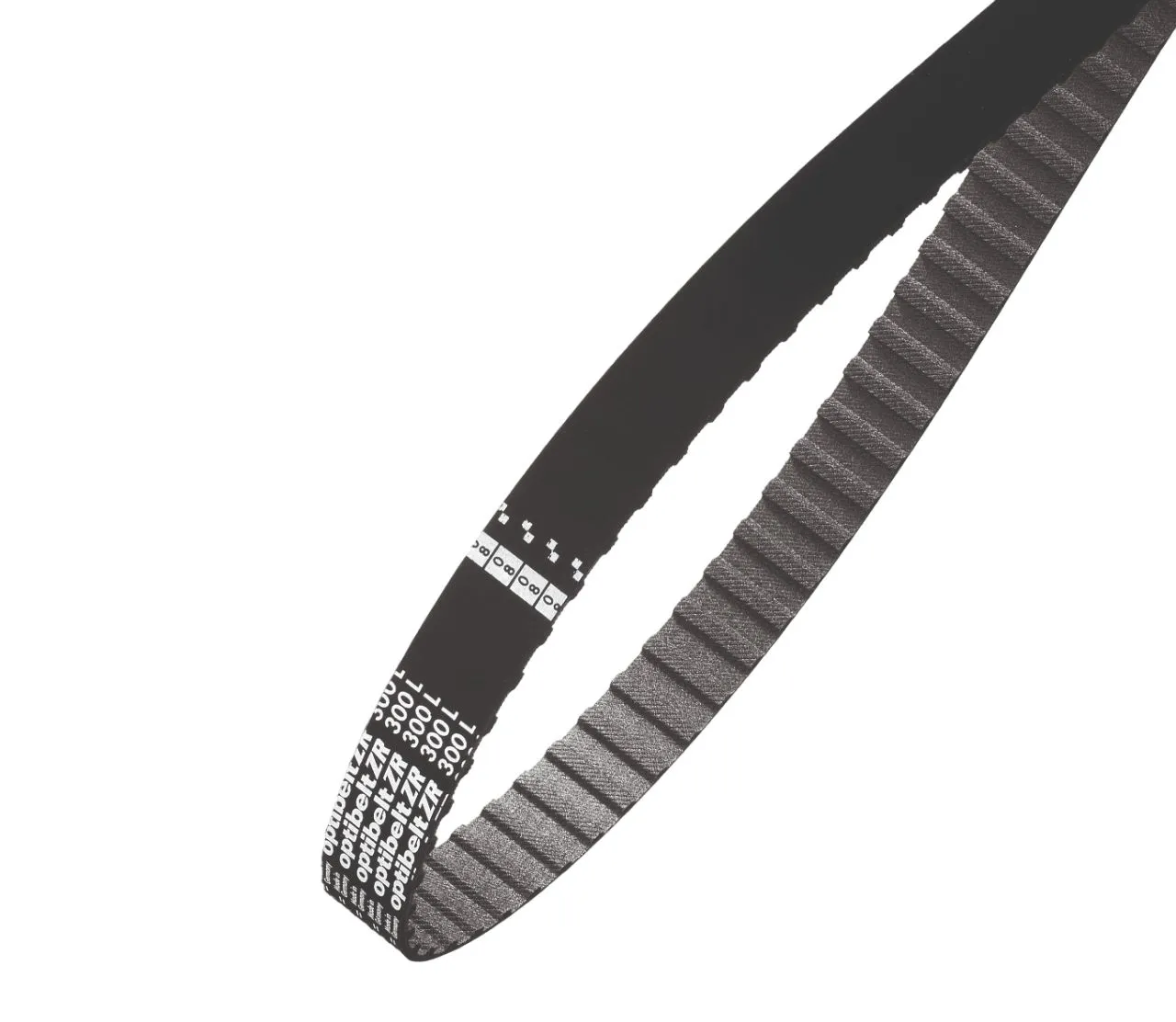 Cinghia sincrona OPTIBELT, 121 denti, passo 9.525mm, dimensioni 45.4poll x 0.75poll