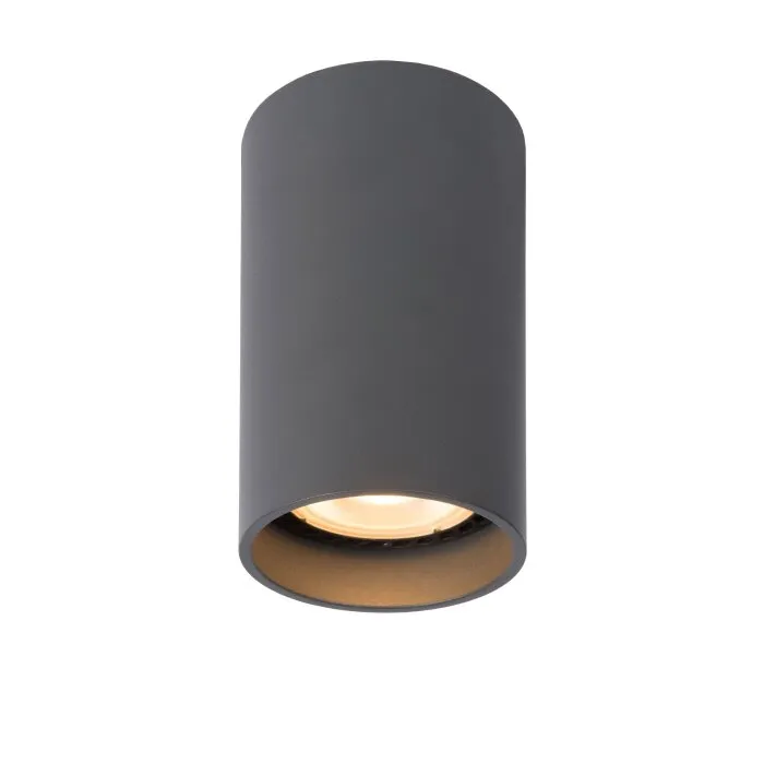 Faretto da soffitto Lucide DELTO LED Grigio, 1-Luce