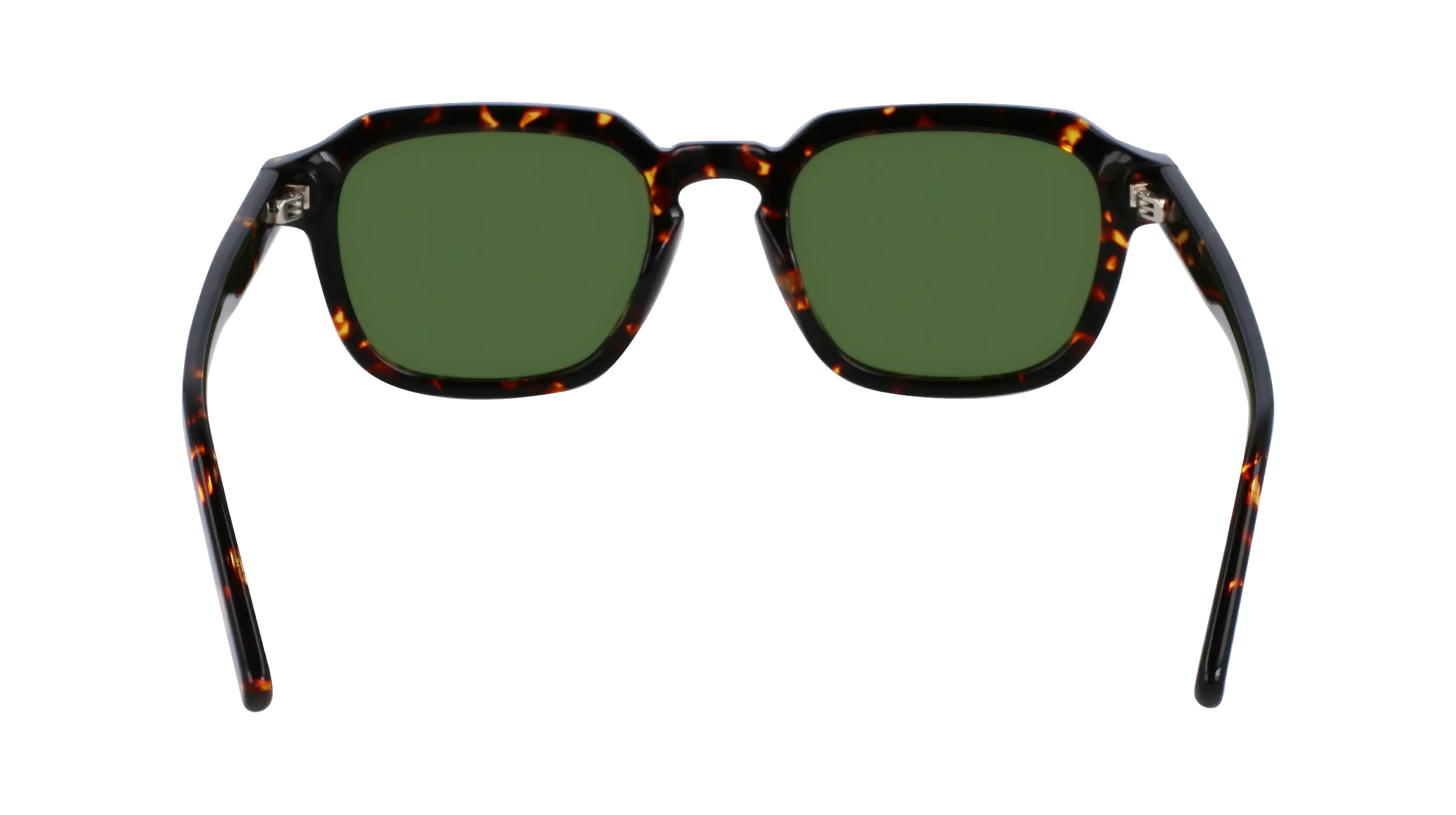   Ferragamo SF1089SN 219