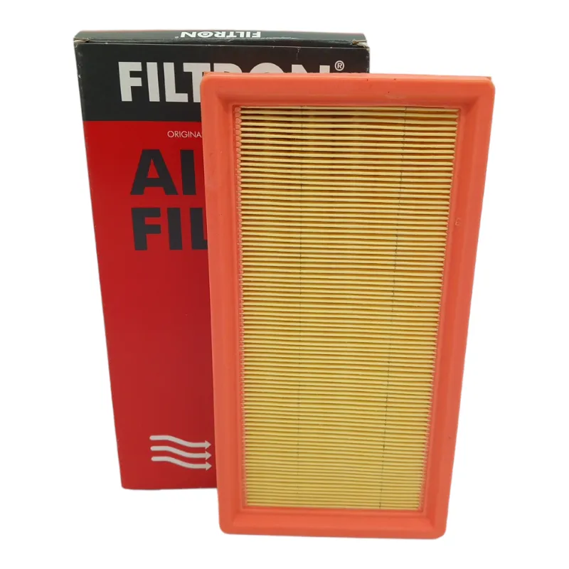 Filtro Aria Motore Filtron Codice.AP022/5 