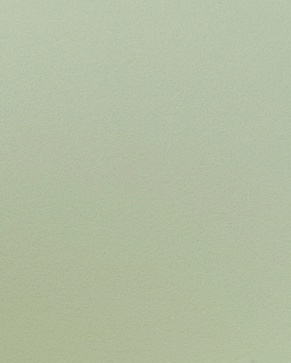 Set di 2 sedie da pranzo FONDA II Verde chiaro